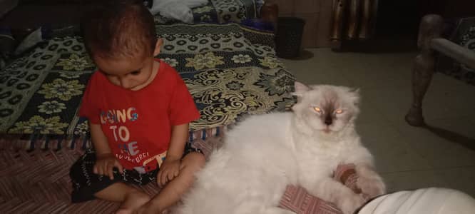 Kio 14 month and sweety 20 month