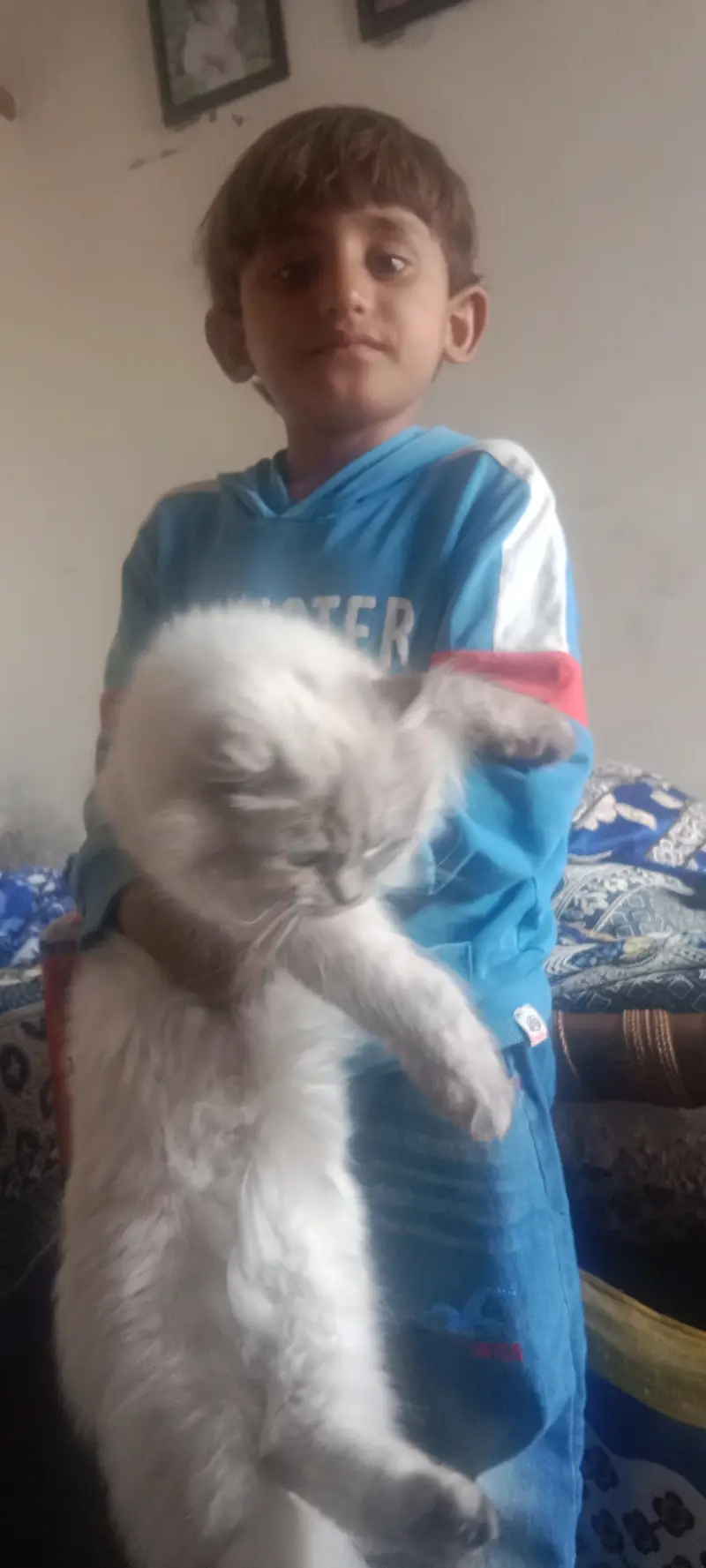 Kio 14 month and sweety 20 month — photo 3