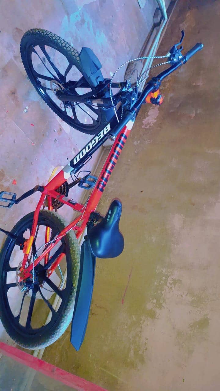 Bicycle 6