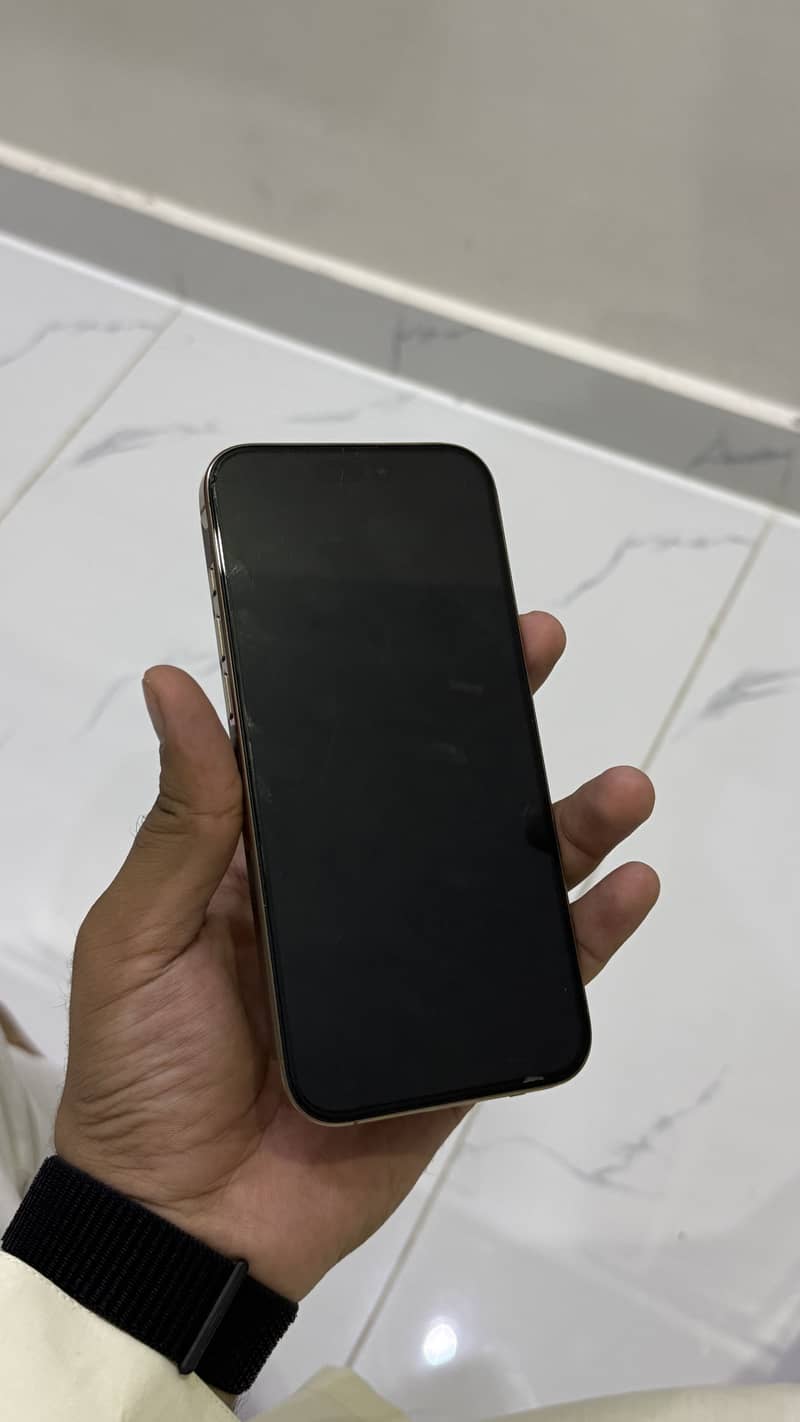 Apple iPhone 16 Pro Max 1