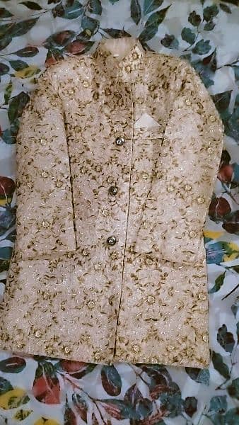 sherwani 2