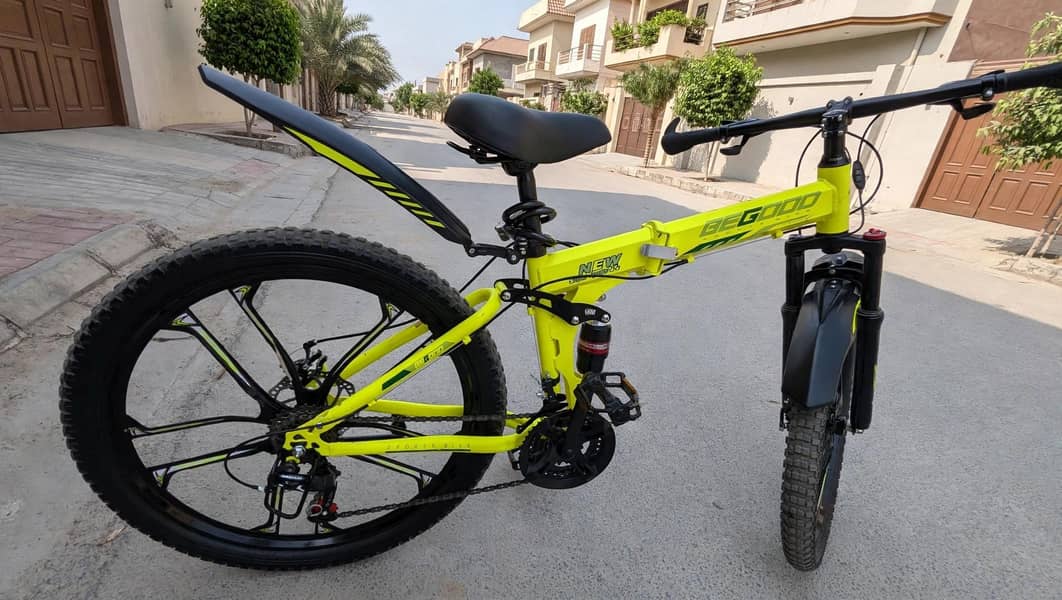 Folding Bicycle 1