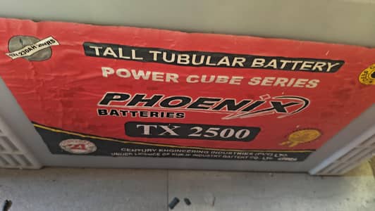 Phoenix Solar Tubular Batteries