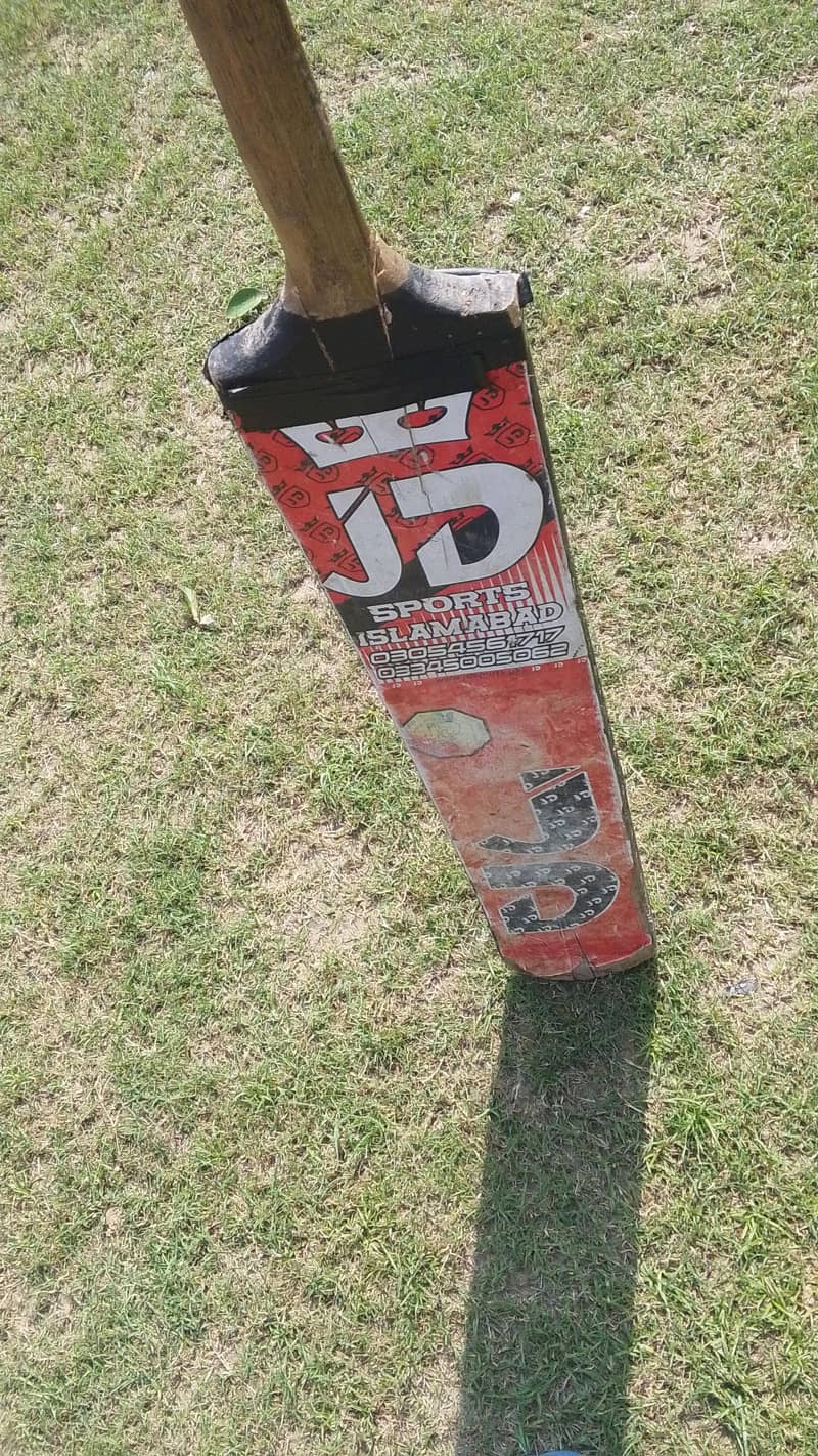 very nice bat 1