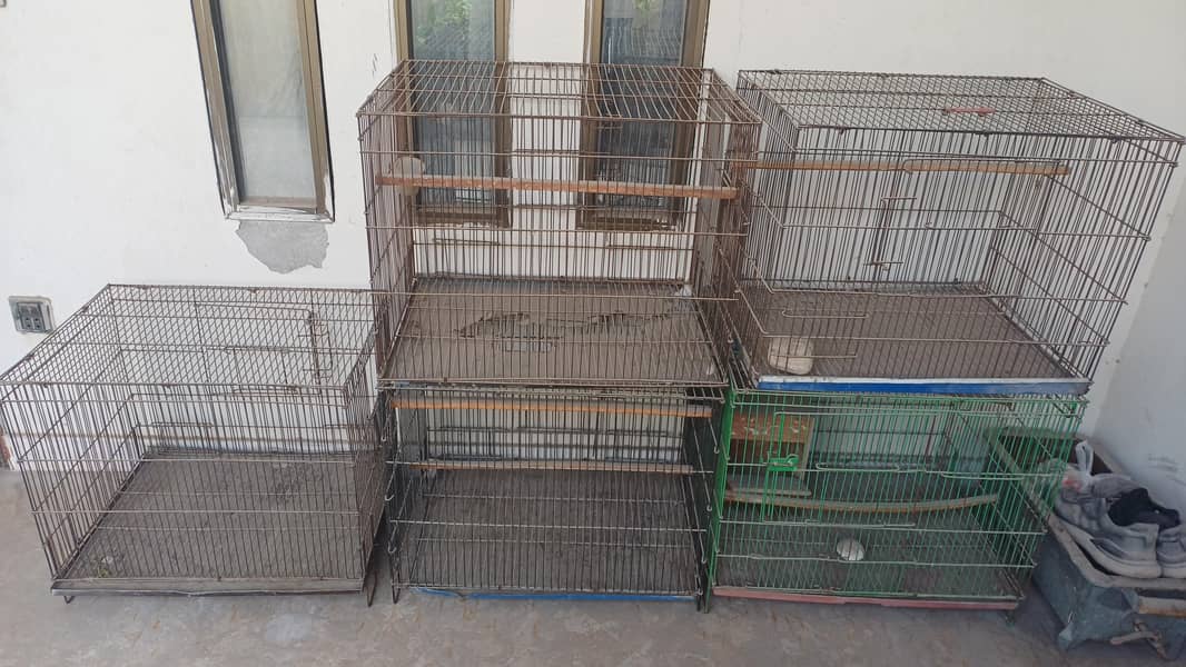 bird cage 0