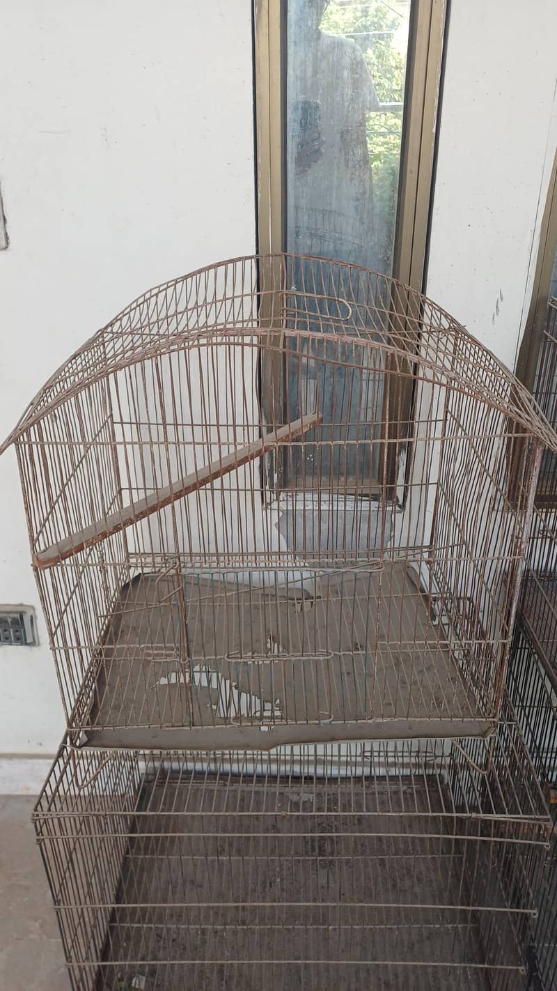 bird cage 1