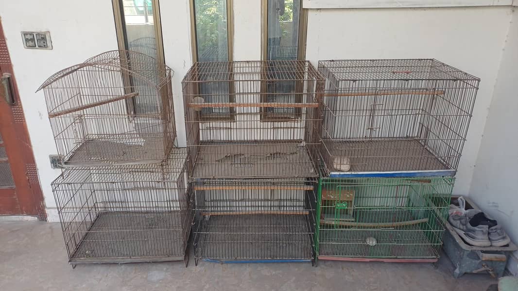 bird cage 2
