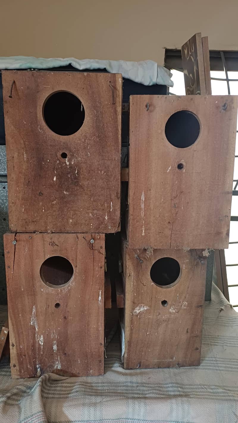 bird cage 3