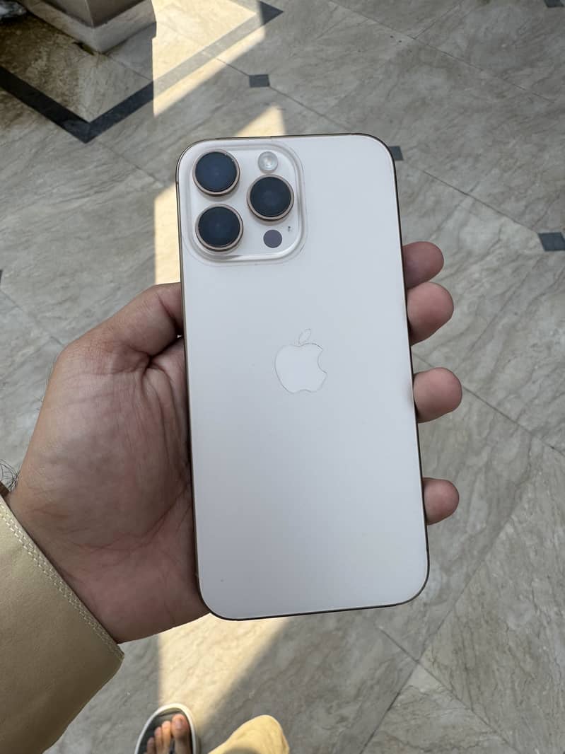 Apple iPhone 16 Pro Max 1