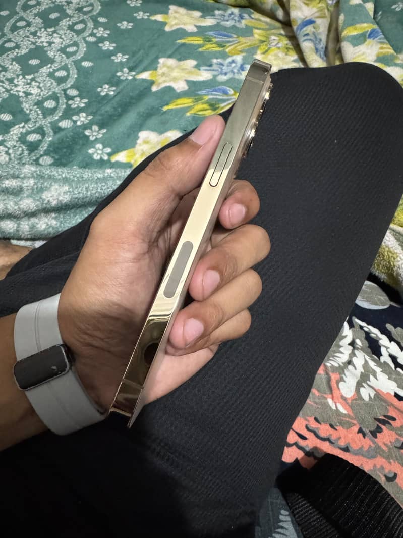 Apple iPhone 13 Pro 1