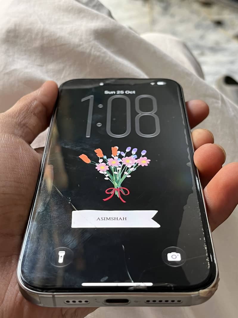 Apple iPhone 15 Pro Max 4