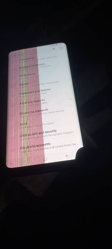 samsung s9 plus sirf panal hy