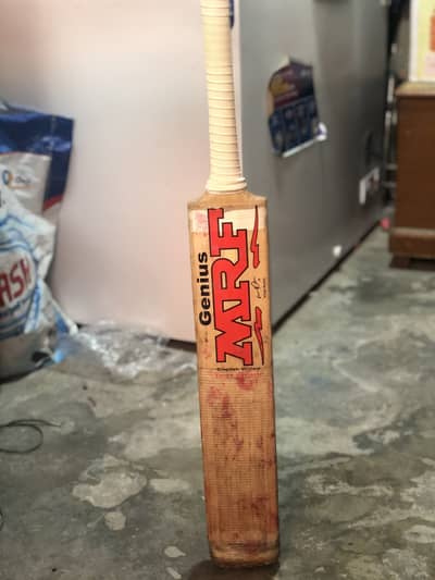 Bat English vilo