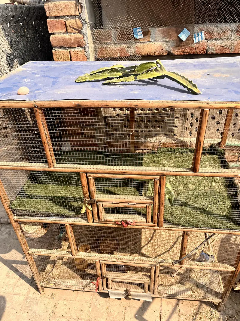 DOUBLE CAGE FOR SELL MADE BY WOOD — photo 2