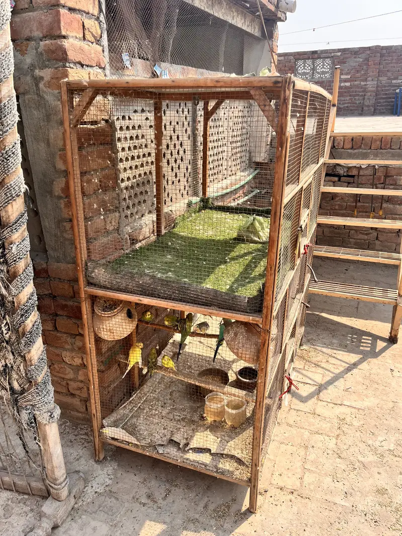 DOUBLE CAGE FOR SELL MADE BY WOOD — photo 3