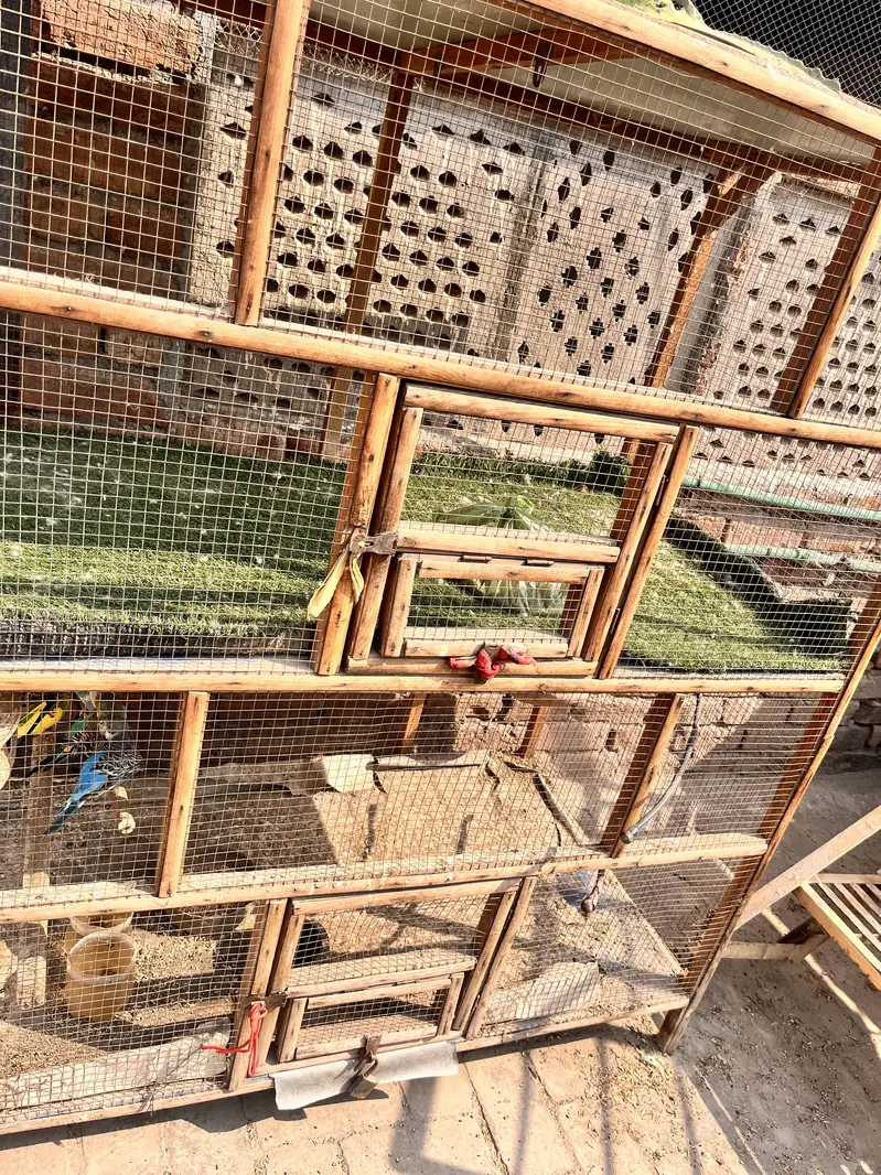 DOUBLE CAGE FOR SELL MADE BY WOOD — photo 4