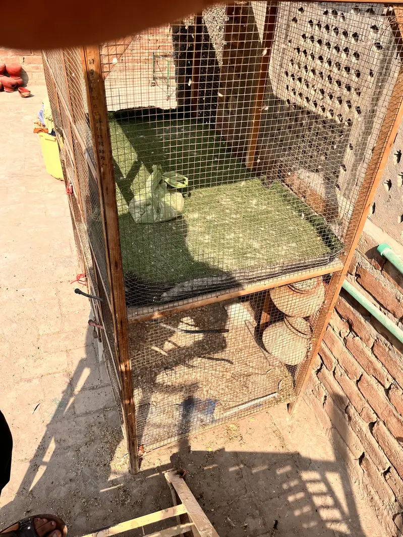 DOUBLE CAGE FOR SELL MADE BY WOOD — photo 6