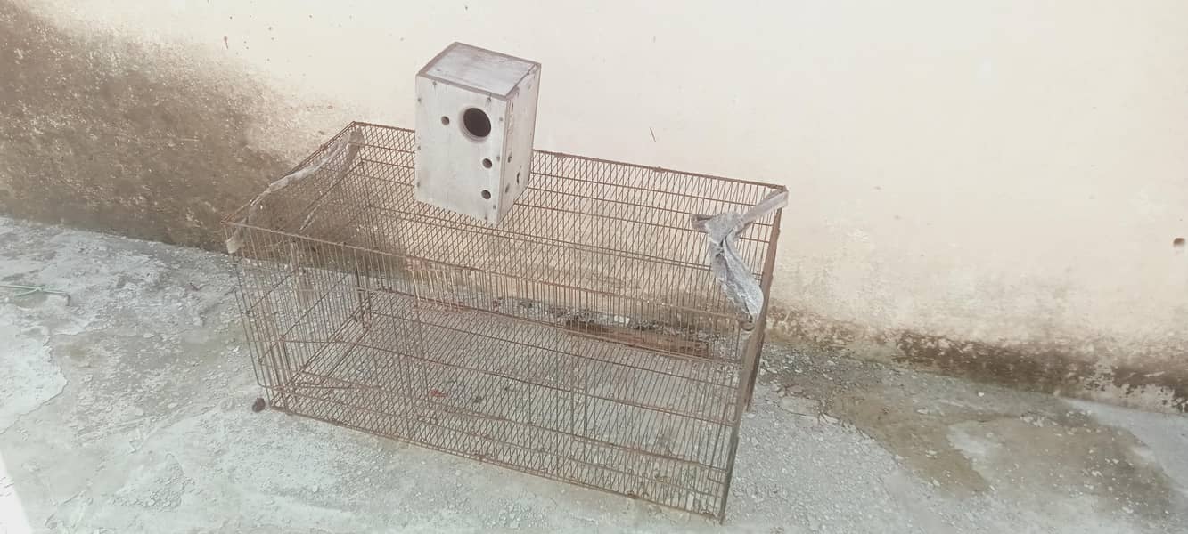 parrots cage 0