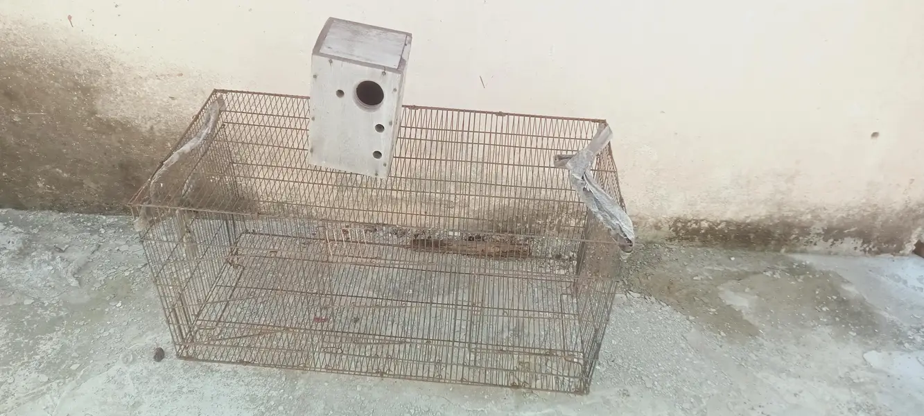 parrots cage — photo 2