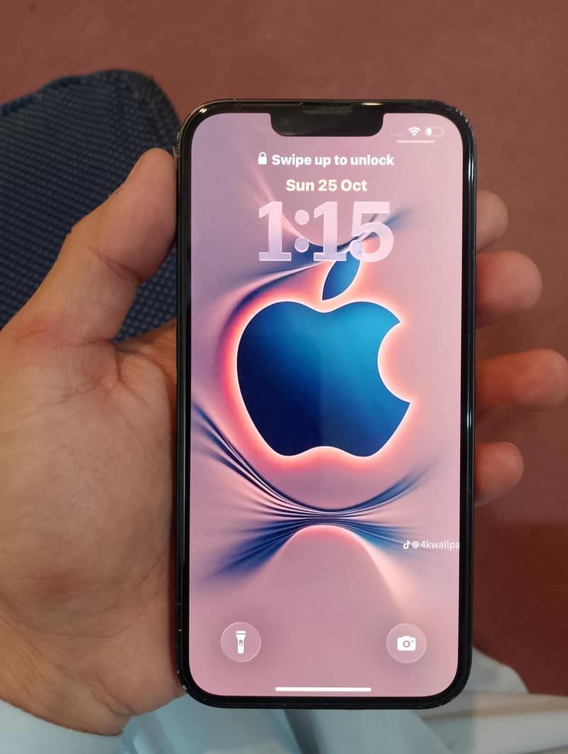 Apple iPhone 13 0