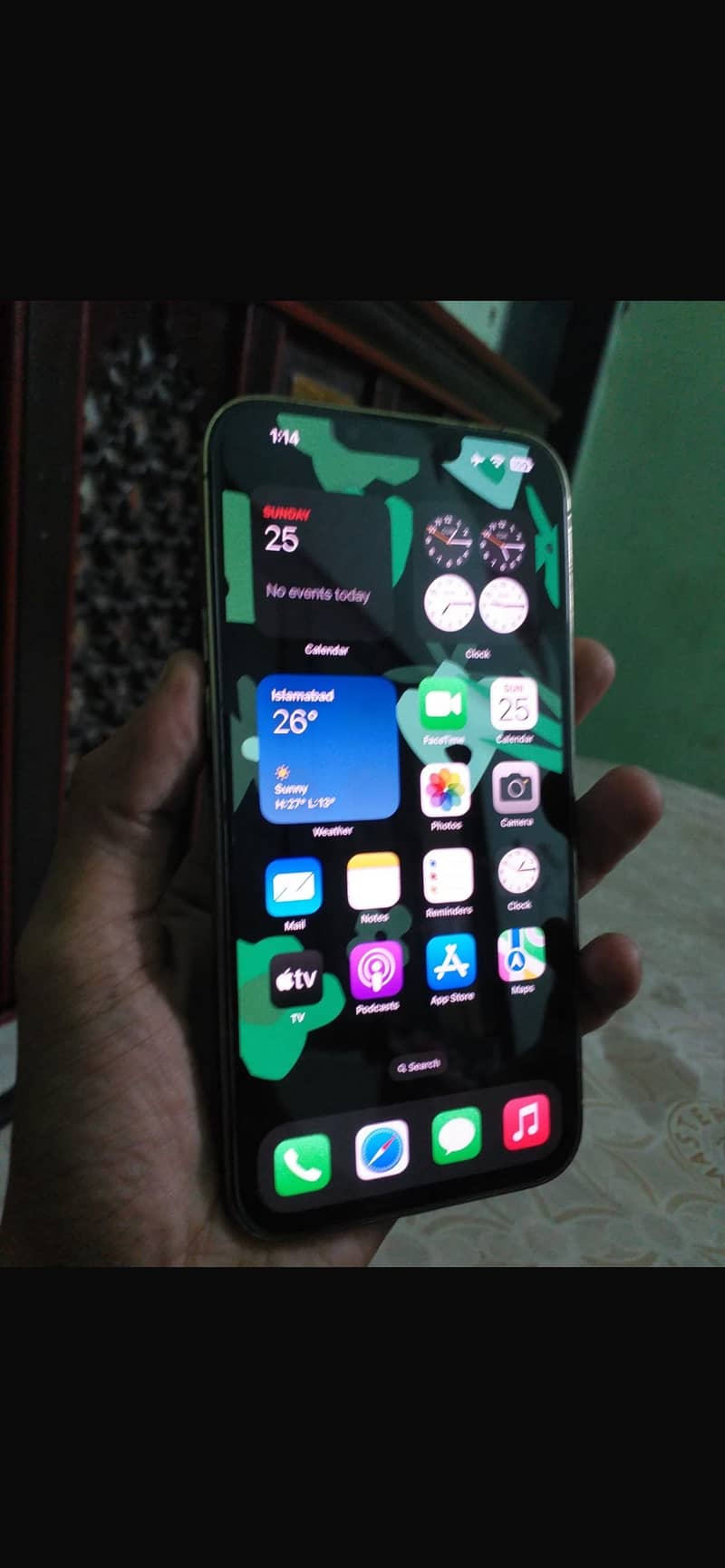 Apple iPhone 13 Pro Max 1