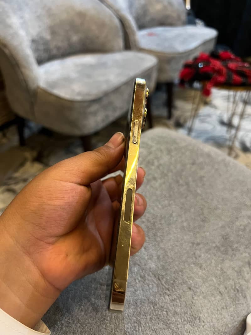 Apple iPhone 13 Pro Max 0