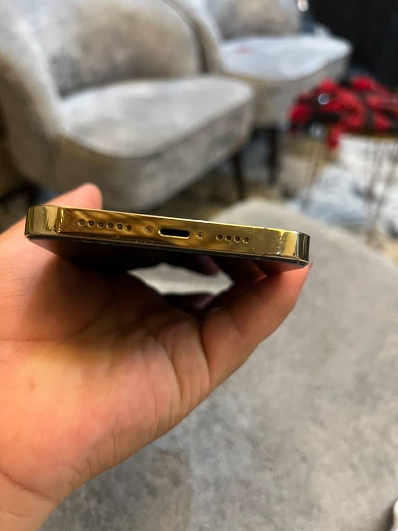 Apple iPhone 13 Pro Max 1