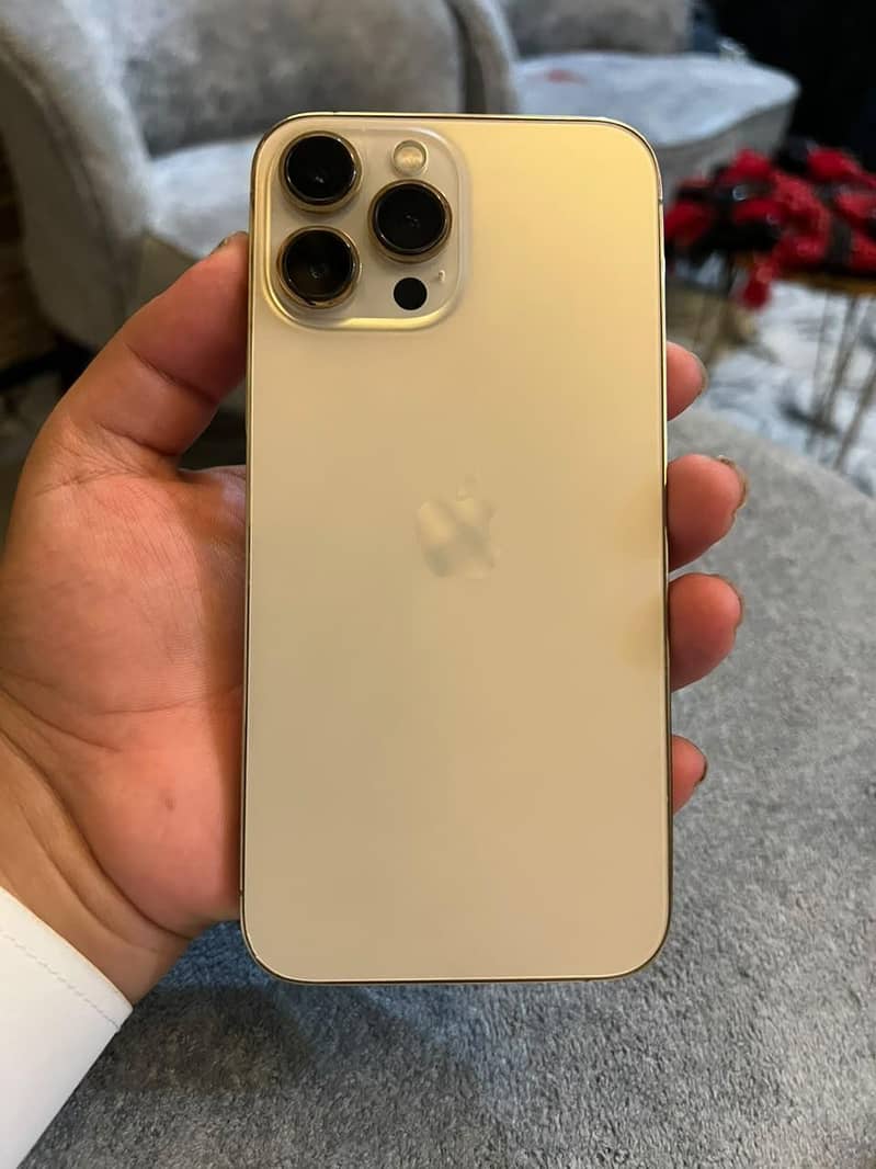 Apple iPhone 13 Pro Max 2