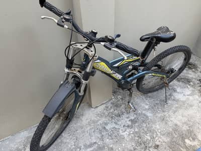 Roman cycle for sale