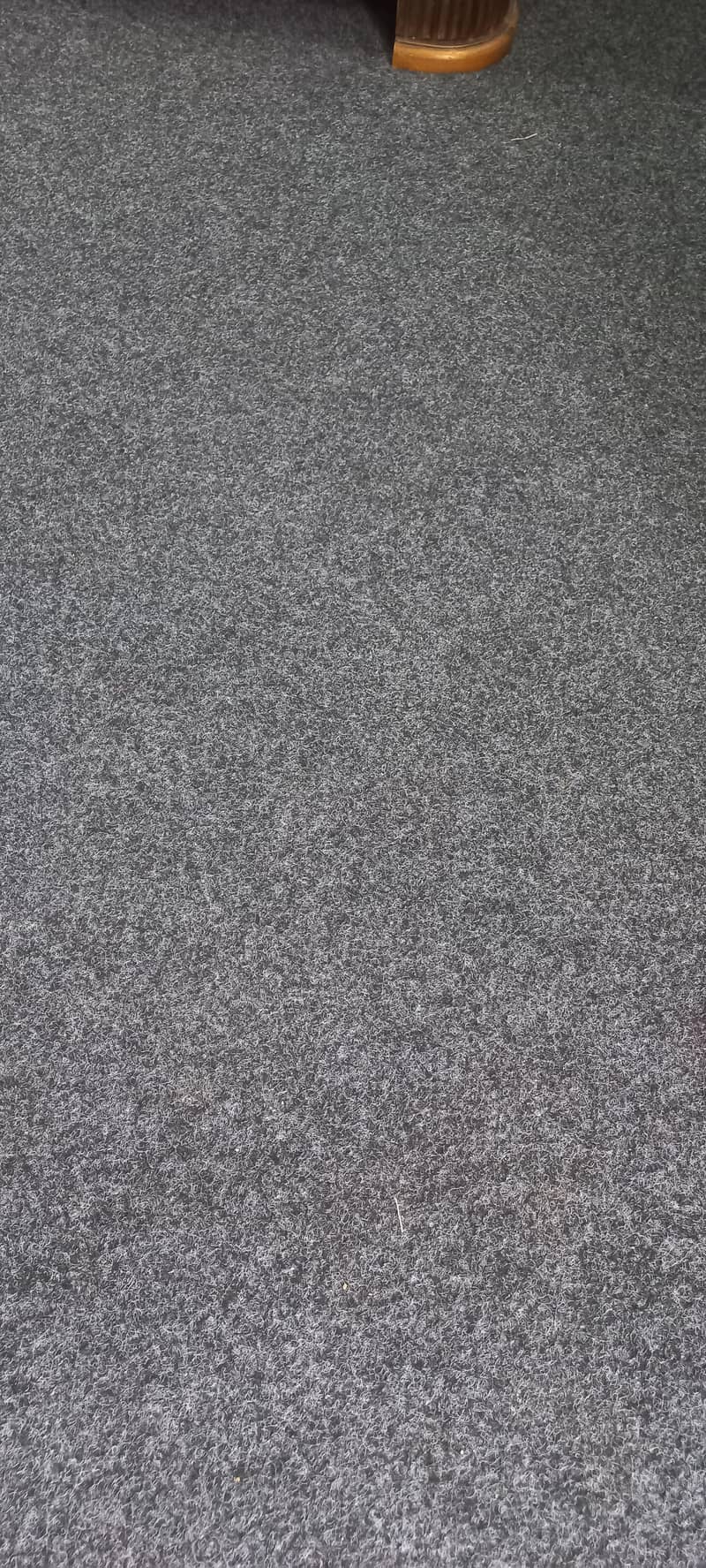 Carpet 0