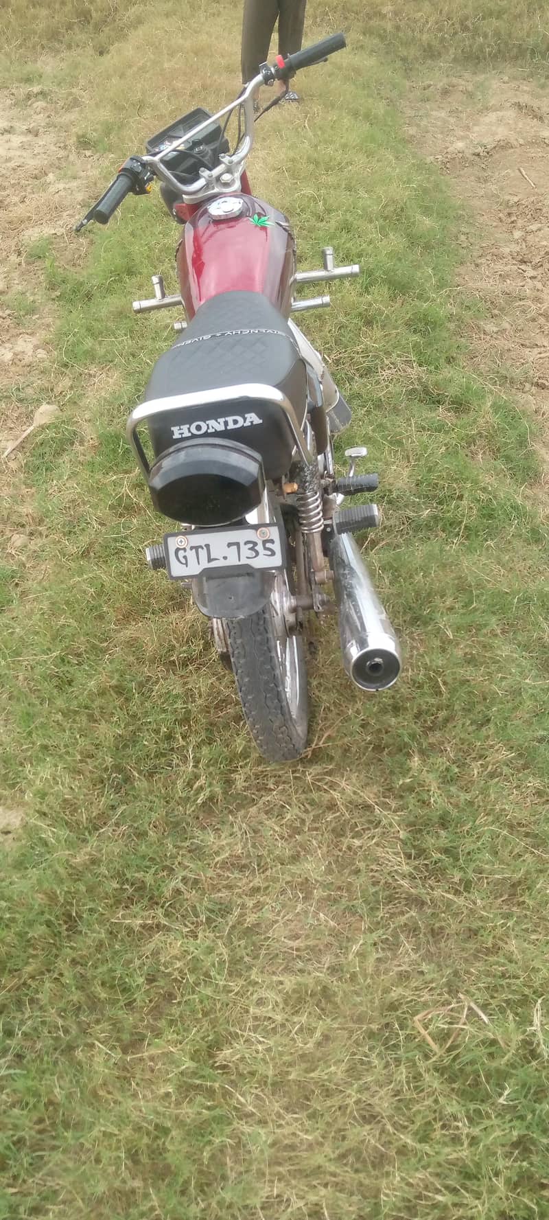 orgnil 1