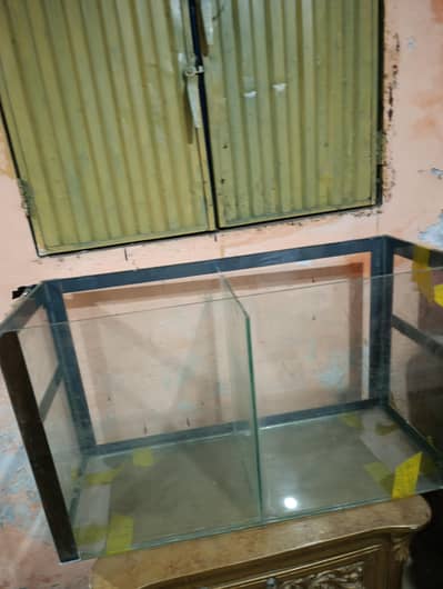 Fish aquarium