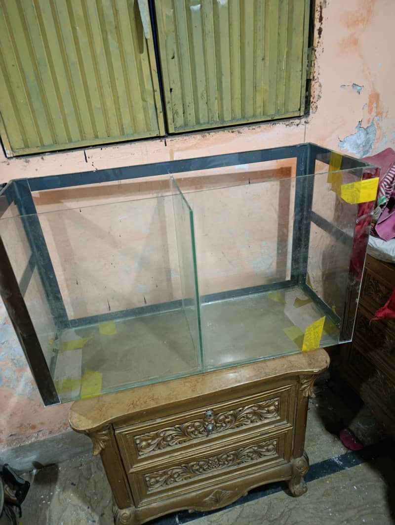 Fish aquarium 1