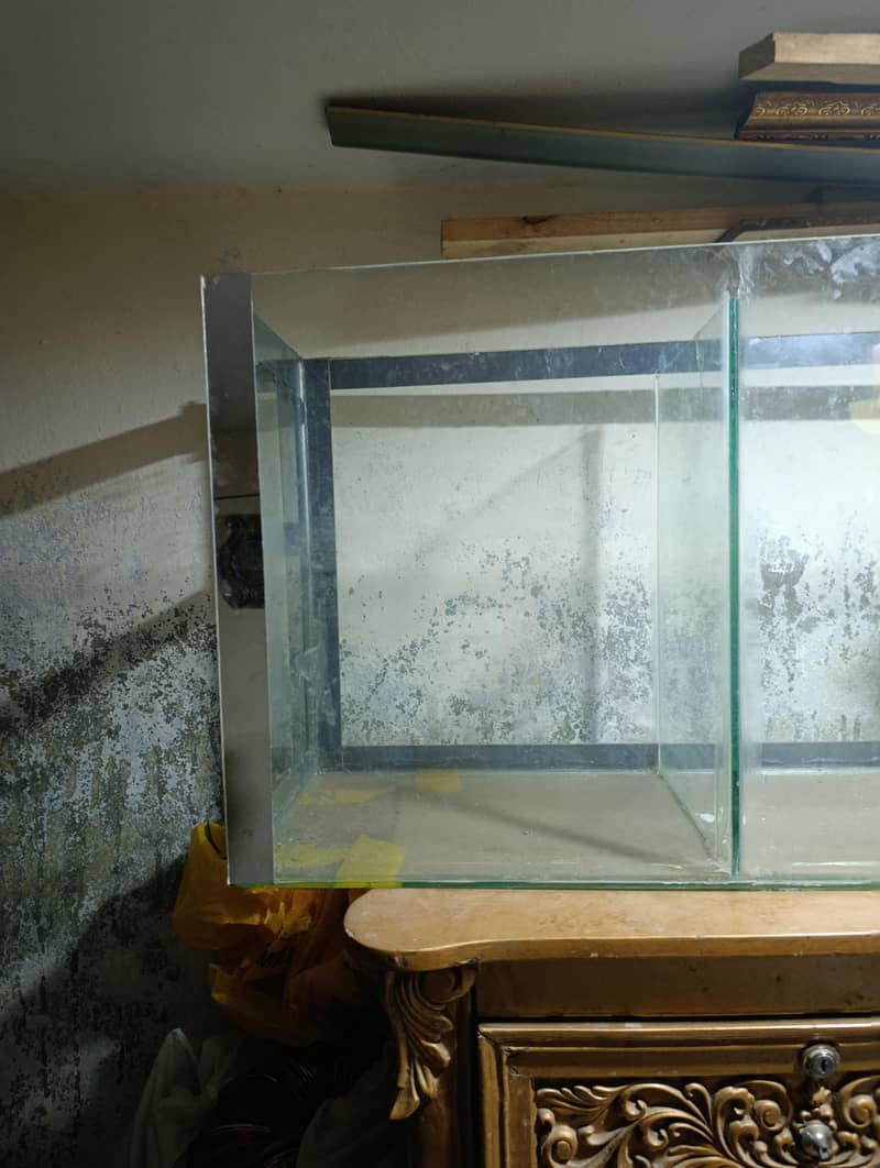 Fish aquarium 3