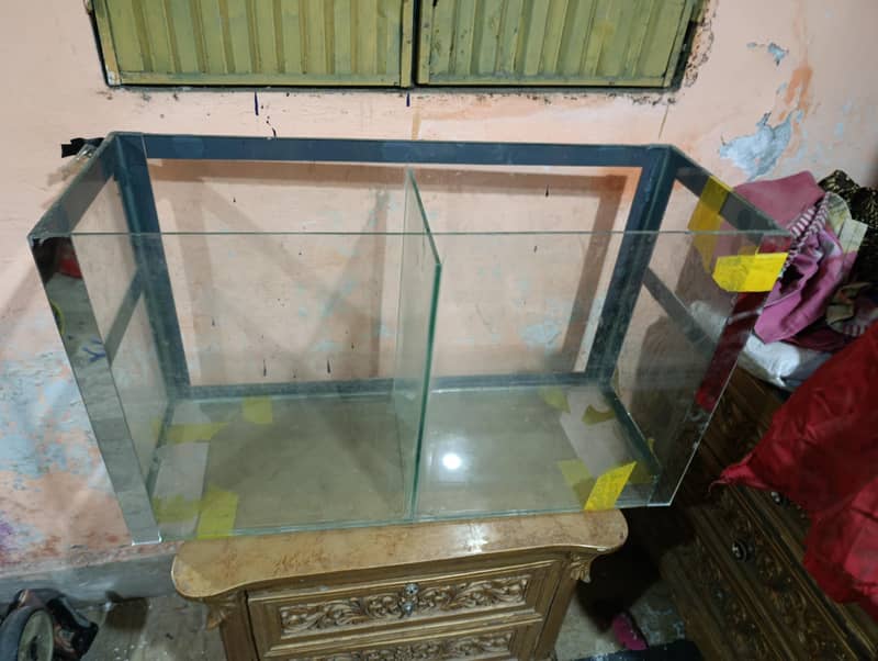 Fish aquarium 4