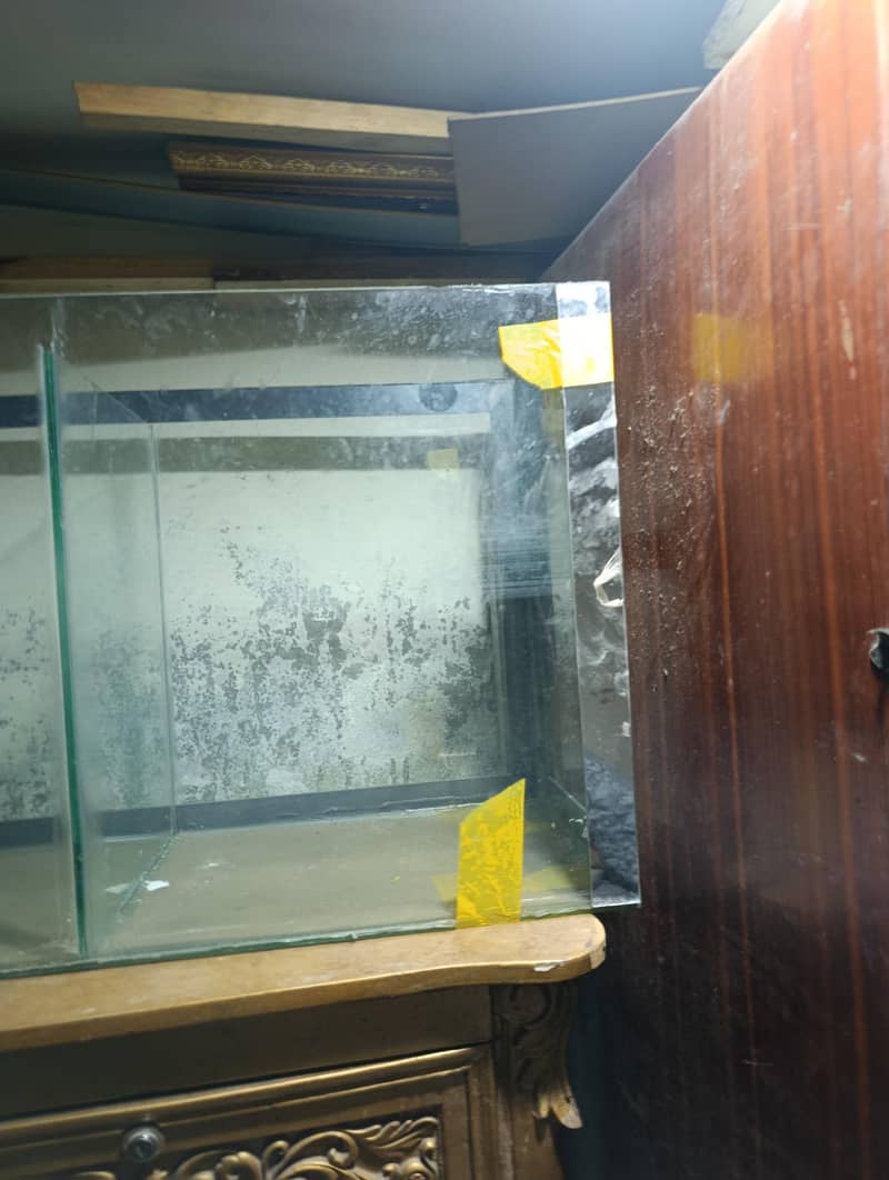 Fish aquarium 5