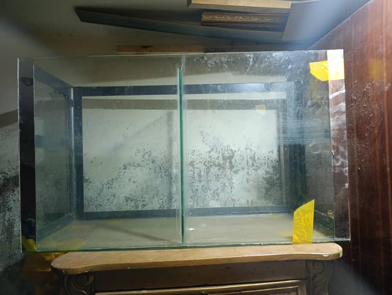 Fish aquarium 6