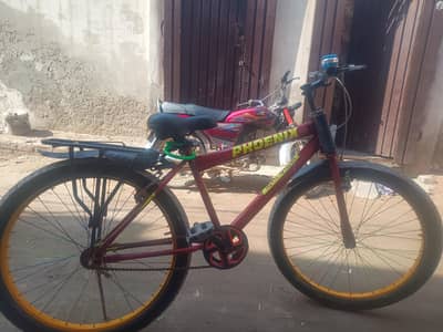 phoenix bike