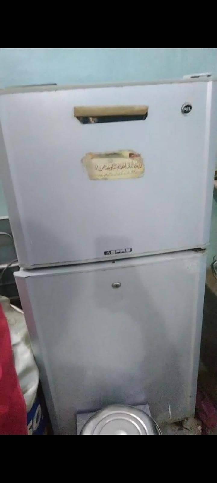 medium size Frig 1