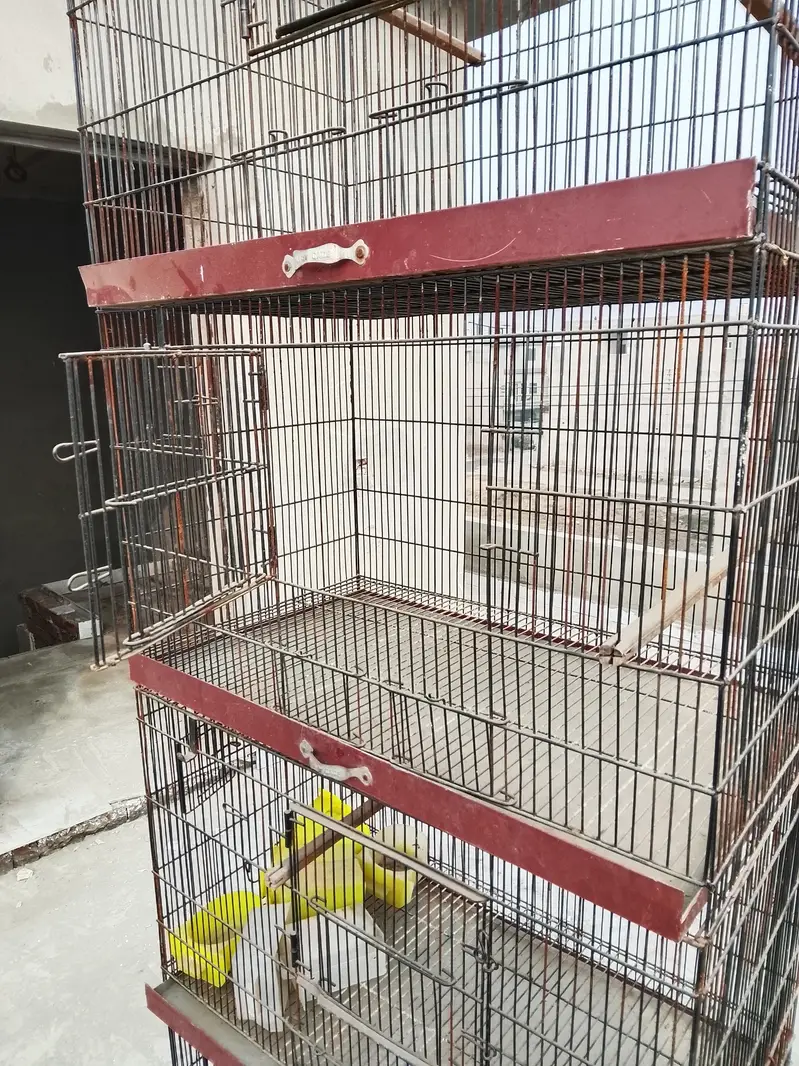 Cage For Sale — photo 3