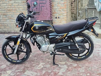 Yamaha YB 125Z-DX 2024