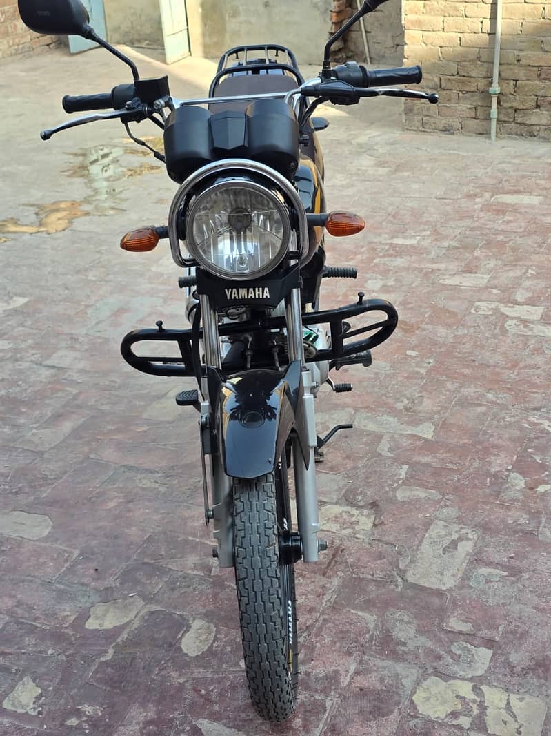 Yamaha YB 125Z-DX 2024 - Standard Bikes - 1120854979