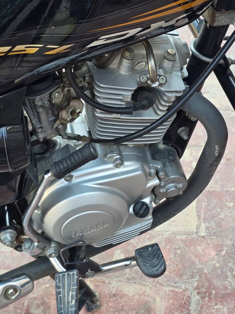 Yamaha YB 125Z-DX 2024 - Standard Bikes - 1120854979