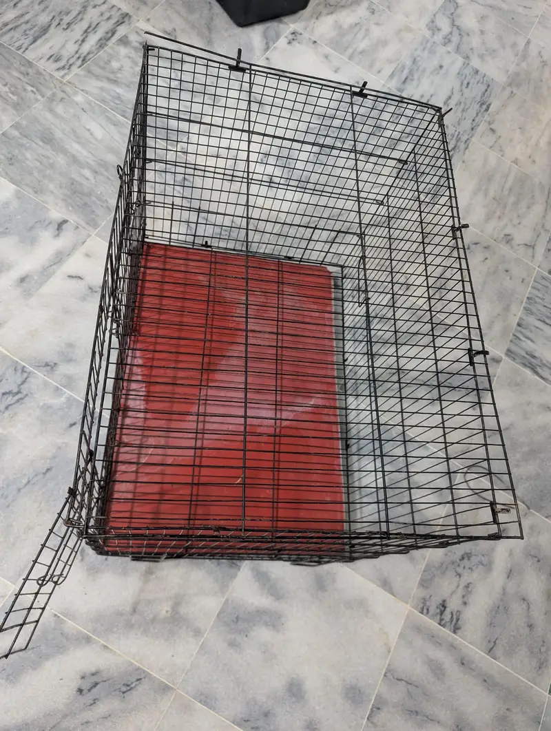 cage . . . — photo 3