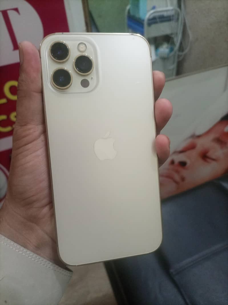 Apple iPhone 12 Pro Max 1