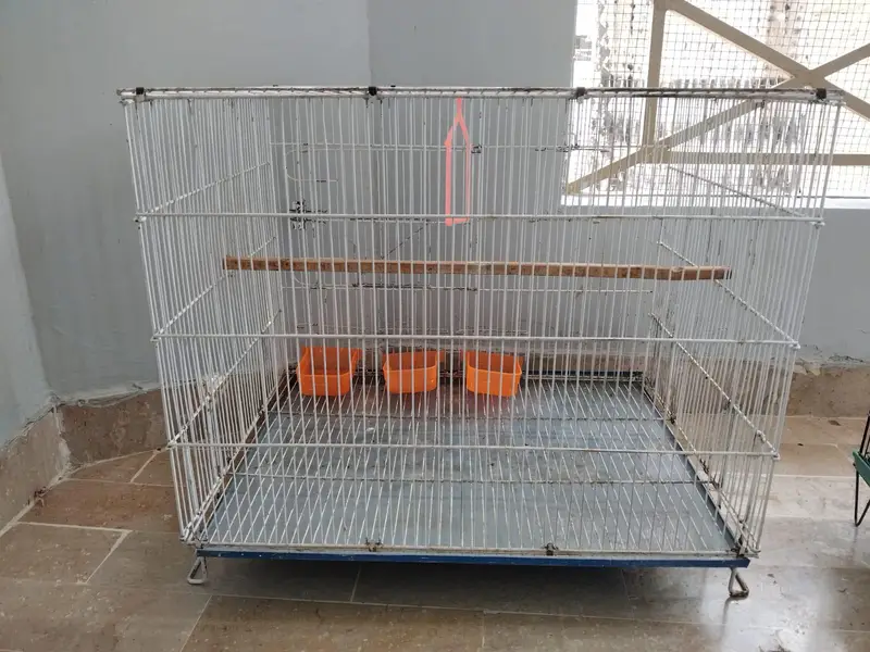 Cages