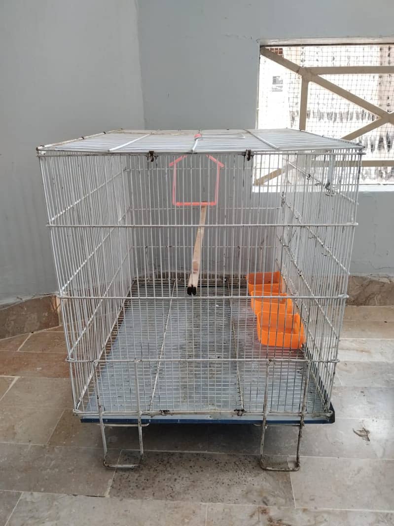 Cages 1