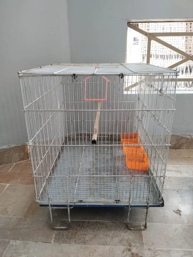 Cages — photo 2