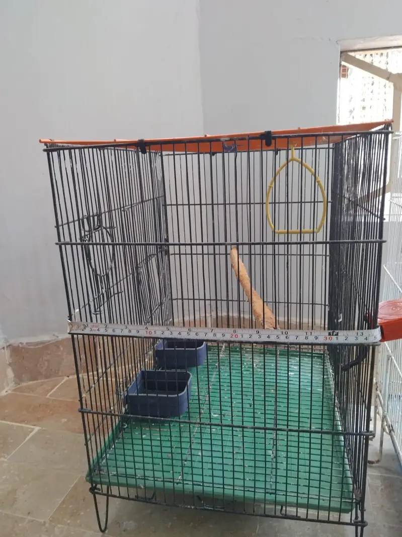 Cages — photo 5