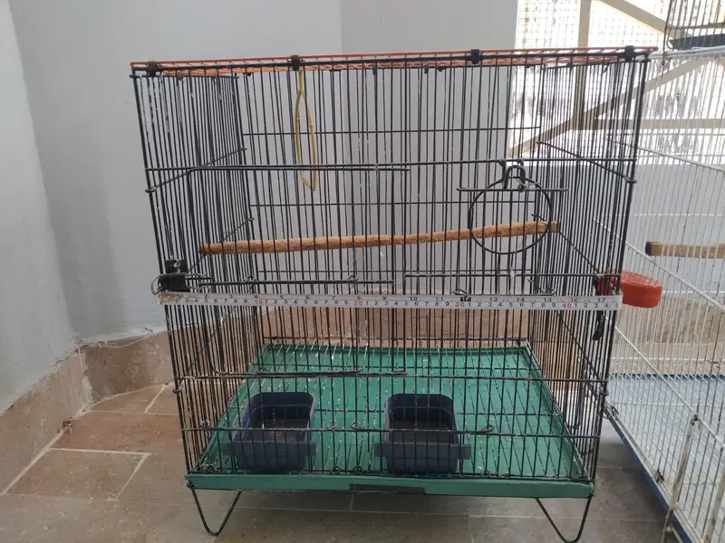 Cages — photo 6